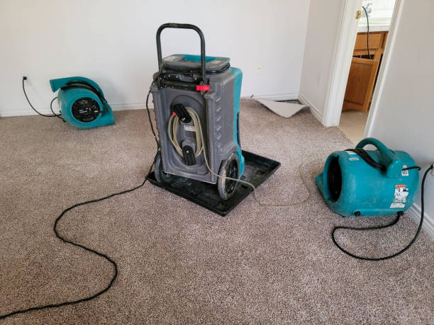 Best Sewage cleanup and water damage restoration  in Dano, CO