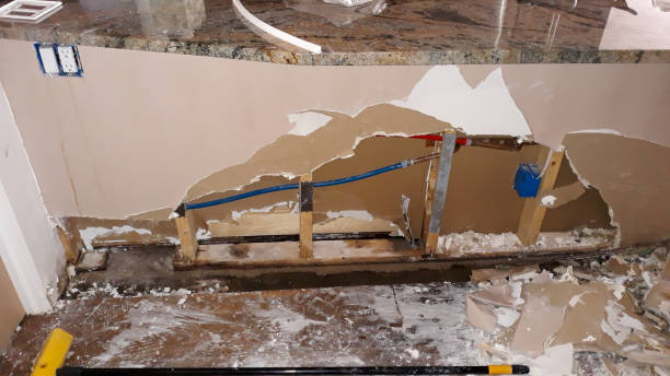 Best Local water damage restoration  in Dano, CO