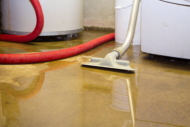 Best Flood restoration services  in Dano, CO