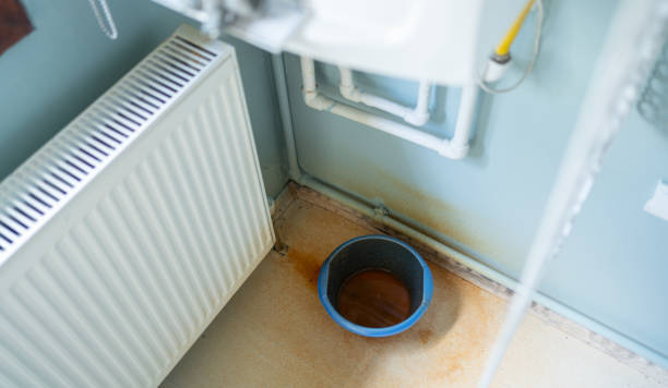 Best Ceiling water damage repair  in Dano, CO